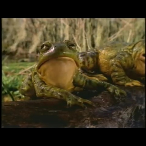 RARE BUDWEISER CREWNECK 90s Budweiser Frog SuperBowl 95 BUDWEISER commercial - Picture 9 of 14